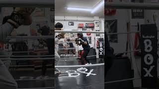 32歳(紺T)VS44歳トレーナーのスパーリング1R目