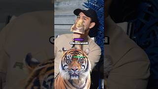 Guess The Imposter CHALLENGE 🐅 (TIGER EDITION) Part 2 🔥