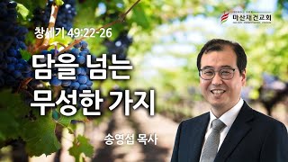 담을 넘는 무성한 가지 / 창세기 49:22~29 / 마산재건교회 송영섭목사