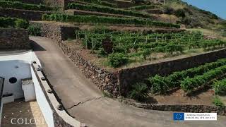 Cantine Colosi in the volcanic Aeolian archipelago