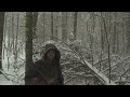 Surviving a Winter Night in a Snowstorm WITHOUT GEAR!   Survival Shelter + Bushcraft