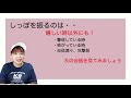 犬も会話する⁉　決定的瞬間を押さえました！カーミングシグナルについて解説します