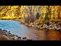 2 HOURS || Serene Waters: Tranquil River Music for Inner Peace || Blissful Tones