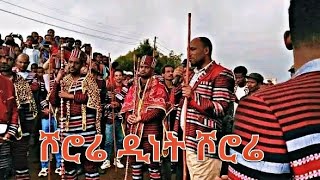 ሾሮሬ ዲነት ሾሮሬ#abulo #hadiya #hossana #አብሎ ጡሞሮ#abulo tumorow