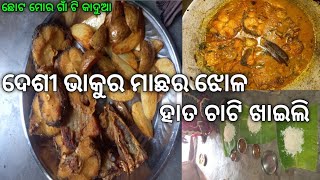 ଦେଶୀ ଭାକୁର ମାଛର ଝୋଳ ।।🐬🐬fish curry at home ..#village 🌱🌿🌴fish fry #desi style ...#gauranga...