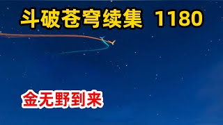 斗破苍穹续集之无上之境：第1180集 金无野到来