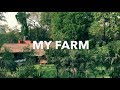 MY FARM !! | Kashikars