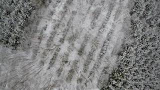 2021.11.27 北海道樽前山 冬の森、上空から Hokado non-verbal sightseeing.Snowy forest from sky.