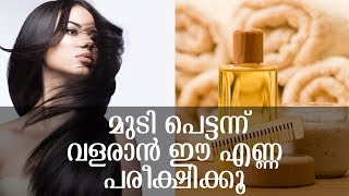 മുടി ഒരാഴ്ച്ചകൊണ്ട് തഴച്ചു വളരാൻ ഒരു മാജിക് എണ്ണ | Secret Oil For Hair Growth