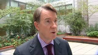 Expenses audit 'damaging MPs' reputations'