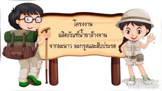 โครงงานผลิตภัณฑ์น้ำยาล้างจานจากมะนาว มะกรูดและสับปะรด