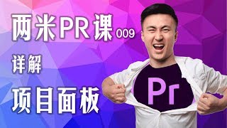 两米青年教你简单学Premiere电脑剪辑软件009：详解项目面板参数！