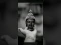 भगवान गौतम बुद्ध के कुछ अनमोल विचार motivation buddha shortvideo buddha_ki_kahani viral @@