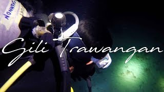 Diving Indonesia - Gili Trawangan (SSI Night & Limited Visibility)