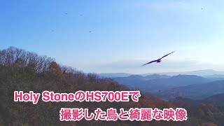 【４K　ドローン空撮　HS700E 大分県　絶景　鳥】　Holy StoneのHS700Eで撮影した鳥と綺麗な映像