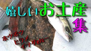 マゴチ釣りの外道【東京湾富津沖】