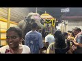 kukke subramanya temple sarpa samskara pooja part 2 day 1 u0026 2 pooja complete details kukke