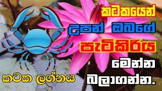 Kataka Lagnaya | කටක ලග්නයෙන් උපන් ඔබගේ  ආවේණික පොදු ගති  ලක්ෂණ