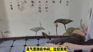 明白了鱼缸的水流方向，就该知道氧气头和造浪泵放在哪里更合适