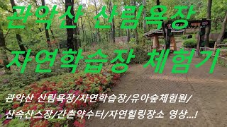 관악산 산림욕장 자연학습장 꽃구경하세요/유아숲체험원/산스장/Look at the flowers at Gwanaksan Forest Park Nature Learning Center