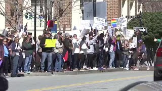 VIDEO: Protestors rally in downtown Greenville amid 50501 Movement