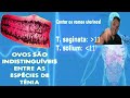 tratamento para tenÍase taenia solium taenia sarginata parasitologia remÉdios para tenÍase