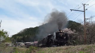 秩父鉄道 SLパレオエクスプレス（旧型客車特別運行・下り） 白久～三峰口間通過