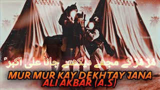 Mur Mur kay Mujhay Dekhtay Jana Ali Akbar (as) - Mir Hasan Mir - BY AZADAR E HUSSAIN