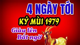 Tử Vi Kỷ Mùi 1979  Đúng 4 Ngày Tới, Phúc Tổ Tiên Độ Trì, May Mắn Gõ Cửa, Tiền Bạc Tăng Vọt!