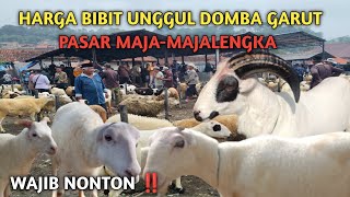 WAJIB NONTON‼️HARGA BIBIT UNGGUL DOMBA GARUT PASAR MAJA