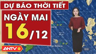 Dự báo thời tiết ngày mai 16/12: Hà Nội chuyển rét, nhiệt độ giảm sâu, TP. HCM vẫn nắng | ANTV