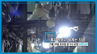 특파원보고 세계는 지금 예고 (KBS_372회_2024.09.28.방송 예고) 토요일 밤 09:40 KBS 1TV 방송