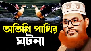 অতিথি পাখিদের ঘটনা | Delwar Hossain Saidi | lecture 2025 | saidi waz mahfil