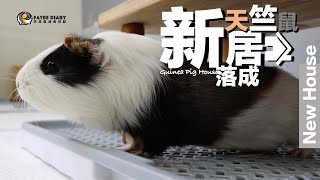 【Fatbe Diary】天竺鼠豪華房屋大改造🎉之胖胖鼻鼻徹底分家了～Redecorate Guinea Pig's room5