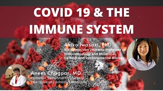 COVID-19 \u0026 THE IMMUNE SYSTEM | An interview with Akiko Iwasaki, PhD, Professor at Yale