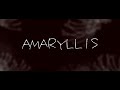 lexaftermidnight amaryllis 「music video teaser」