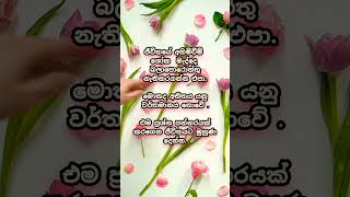 ජීවිතයේ අහිමි වීම් ශෝක වීම් 🤔✨👆#motivation #quotes #sinhalaquotes