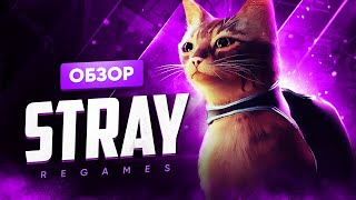 Обзор игры Stray