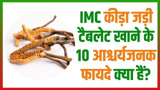 IMC कीड़ा जड़ी खाने के 10 आश्चर्यजनक फायदे क्या हैं?