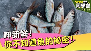 呷新鮮！你不知道魚的祕密！【57健康同學會】第1119集 2014年