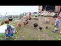 Jonson feeding baby Chicken || Jonson helping mom on her work@pastorallifeofnepal