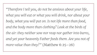 Solid Joys (September 11): 7 Reasons Not to Worry, Part 1 // Devotional by John Piper