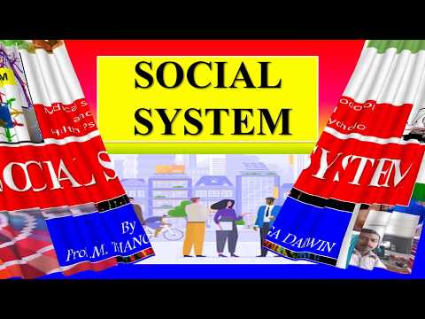 What are some examples of social systems?