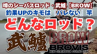 曲がる！粘り！新基準シーバスロッド・武鱸【BROW】 解説動画