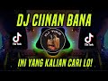 DJ CIINAN BANA FAUZANA REMIX TIKTOK TERBARU 2024