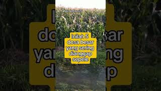 Inilah 5 dosa besar yang sering dianggap sepele#feedshorts#dakwahislam#islamshorts