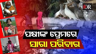 ତିନି ପିଢ଼ିର ପକ୍ଷୀ ରାଇଜ |Bhadrak|Love For Birds| Bhandaripokhari| Odisha Reporter