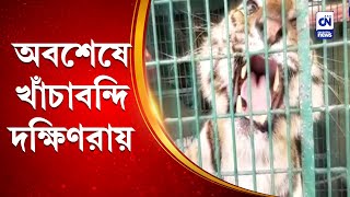 অবশেষে খাঁচাবন্দি দক্ষিণরায় | CN