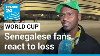 Senegalese fans react to Africa's top ranked team's loss • FRANCE 24 English