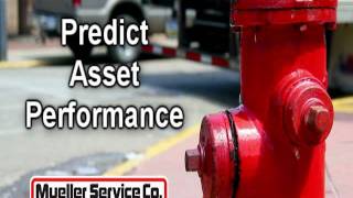 Mueller Hydrant Service - Mueller Service Co.